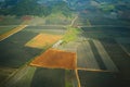 Aerial view of Pineapple fields on a nice day