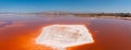 Pink salt ponds at Alviso Marina County Park Royalty Free Stock Photo