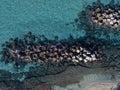 Aerial view of Pizzo Calabro, pier, castle, Calabria, tourism Italy. Panoramic view of the small town of Pizzo Calabro by the sea.