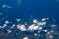 Aerial view from plane. Flight from Helsinki to Amsterdam Royalty Free Stock Photo