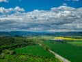 Aerial view of plantation field