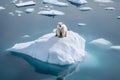 Aerial view of a polar bear standing on an isolated iceberg