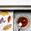 Aerial view of pressed leaves collection book with tea cup