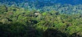 Aerial view of primeval tropical forest in the morning Royalty Free Stock Photo