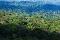 Aerial view of primeval tropical forest in the morning Royalty Free Stock Photo