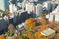 Aerial view of public park in city downtown during late autumn season Royalty Free Stock Photo