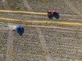 Aerial view of pumpkin harvest with a tractor, Modern pumpkin seed farming