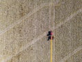 Aerial view of pumpkin harvest with a tractor, Modern pumpkin seed farming