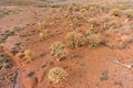 Aerial view of quiver trees Royalty Free Stock Photo