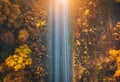 Aerial view of railroad in beautiful forest at sunset in autumn Royalty Free Stock Photo