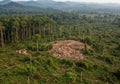 Aerial View of Rainforest Deforestation Royalty Free Stock Photo