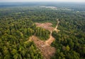 Aerial View of Rainforest Deforestation and Logging Royalty Free Stock Photo