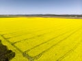 Aerial view of crop field Royalty Free Stock Photo