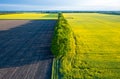 Aerial view of rapeseed blooming fields