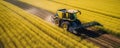 Aerial View Of Rapeseed Harvest For Biofuel Production