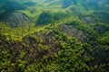 aerial view of recovering burnt forest with green patches