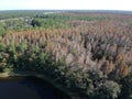 Aerial view of red leaf and winter tree Royalty Free Stock Photo