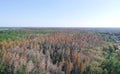 Aerial view of red leaf and winter tree Royalty Free Stock Photo