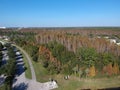 Aerial view of red leaf and winter tree Royalty Free Stock Photo