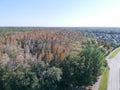 Aerial view of red leaf and winter tree Royalty Free Stock Photo