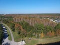 Aerial view of red leaf and winter tree Royalty Free Stock Photo