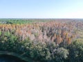 Aerial view of red leaf and winter tree Royalty Free Stock Photo