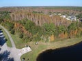 Aerial view of red leaf and winter tree Royalty Free Stock Photo