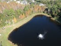 Aerial view of red leaf and winter tree Royalty Free Stock Photo