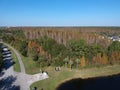 Aerial view of red leaf and winter tree Royalty Free Stock Photo