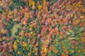 Aerial view of red and orange deciduous trees over forest
