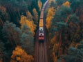 Train Journey Through Autumn Forest Royalty Free Stock Photo