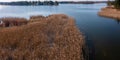 Aerial view of reed beds on the lake in spring