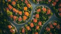 aerial view of residential neighborhood with red roofs from above at the intersection of streets,