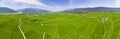 Aerial view of rice fields. Chishang. Royalty Free Stock Photo