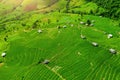 Aerial view of Rice terrace at Ban pa bong piang in Chiang mai, Thailand. Royalty Free Stock Photo