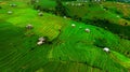 Aerial view of Rice terrace at Ban pa bong piang in Chiang mai, Thailand Royalty Free Stock Photo