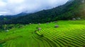 Aerial view of Rice terrace at Ban pa bong piang in Chiang mai, Thailand Royalty Free Stock Photo