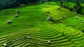 Aerial view of Rice terrace at Ban pa bong piang in Chiang mai, Thailand Royalty Free Stock Photo