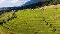 Aerial view of Rice terrace at Ban pa bong piang in Chiang mai Thailand Royalty Free Stock Photo