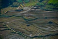 Aerial view of rice terrace in sapa northern of vietnam