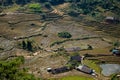 Aerial view of rice terrace in sapa northern of vietnam