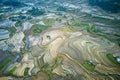 Aerial view of rice terraced fields in Y Ty