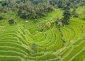 Aerial view of rice terraces in Bali