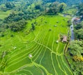 Aerial view of rice terraces in Bali