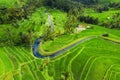 Aerial view of rice terraces. Landscape with drone. Agricultural landscape from the air. Rice terraces in the summer. UNESCO World Royalty Free Stock Photo