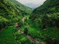 Aerial view of rice terraces in scenic valley on Bali. Mountain landscape with rice fields. Aerial view Royalty Free Stock Photo