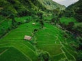 Aerial view of rice terraces in scenic valley on Bali. Mountain landscape with rice fields. Aerial view Royalty Free Stock Photo