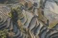 Aerial view of rice terraces at sunrise with water