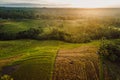 Aerial view of terraces with warm morning or evening light. Countryside in Bali island Royalty Free Stock Photo