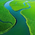 aerial view of a river delta with lush green vegetation and winding waterways